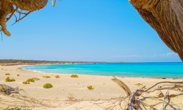 Nisos Chrysi: Discovering the Idyllic Beaches of Lasithi Crete
