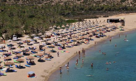 Beach Vai: A Natural Paradise in Lasithi Crete