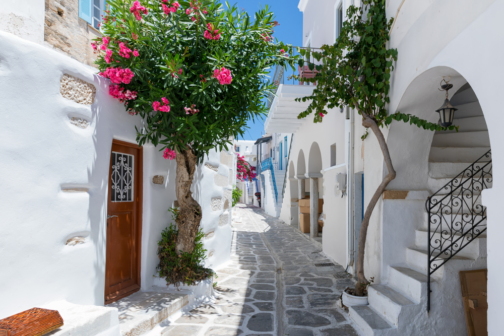 The typical cycladic, whitewashed alleys with colorful flowers at Parikia on the island of Paros, Cyclades, Greece, during summer time - Sven Hansche / shutterstock