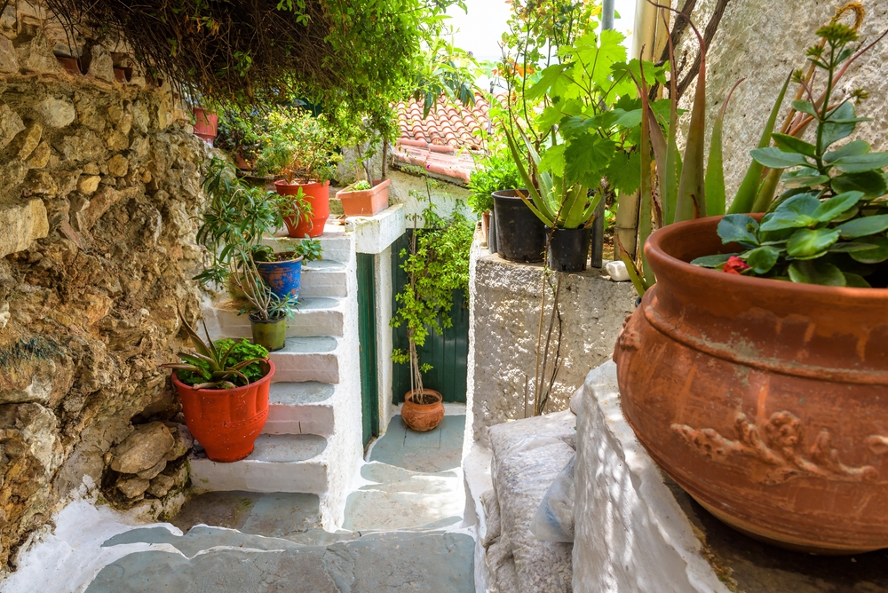 Street in Anafiotika, Plaka district in Athens, Greece, Europe. Old houses with landscaping are tourist attraction of Athens. Beautiful narrow alley, cozy lane on Acropolis slope in Athens city center - Viacheslav Lopatin / shutterstock